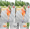 Evenement foto: Nijmeegse Vierdaagse 712