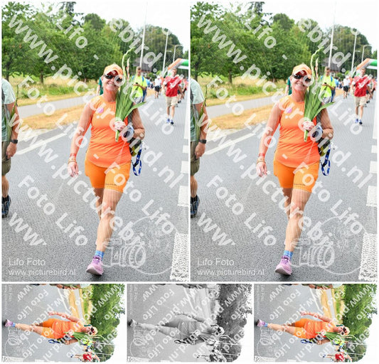 Evenement foto: Nijmeegse Vierdaagse 712