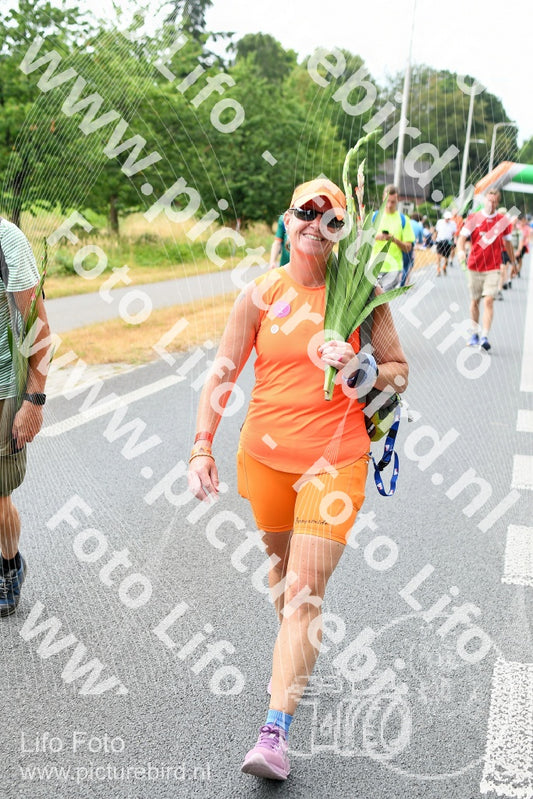Evenement foto: Nijmeegse Vierdaagse 712