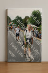 Evenement foto: Nijmeegse Vierdaagse 712