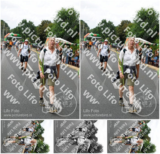 Evenement foto: Nijmeegse Vierdaagse 712