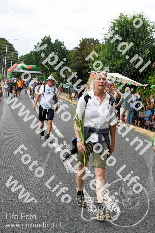 Evenement foto: Nijmeegse Vierdaagse 712