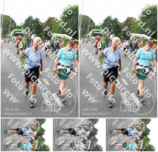 Evenement foto: Nijmeegse Vierdaagse 712