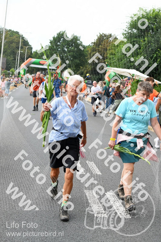 Evenement foto: Nijmeegse Vierdaagse 712