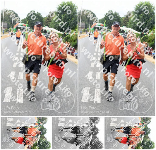 Evenement foto: Nijmeegse Vierdaagse 711