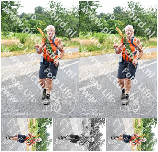 Evenement foto: Nijmeegse Vierdaagse 711