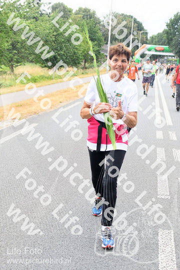 Evenement foto: Nijmeegse Vierdaagse 711