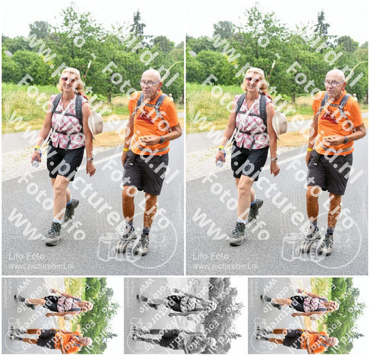 Evenement foto: Nijmeegse Vierdaagse 711
