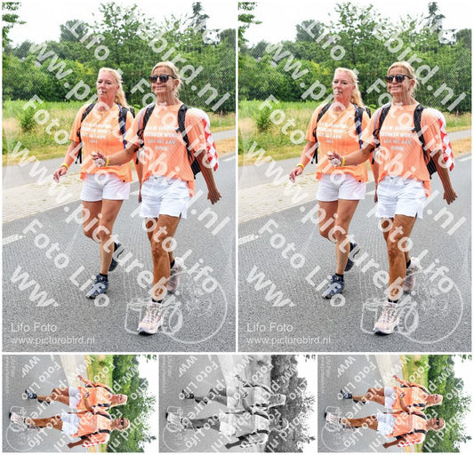Evenement foto: Nijmeegse Vierdaagse 711
