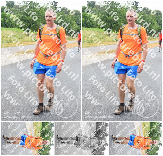 Evenement foto: Nijmeegse Vierdaagse 711