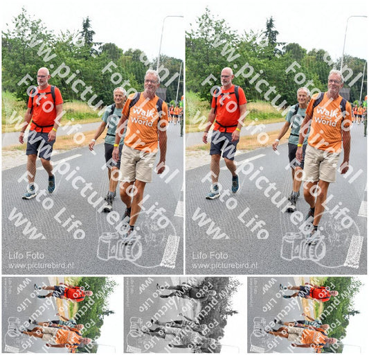 Evenement foto: Nijmeegse Vierdaagse 711