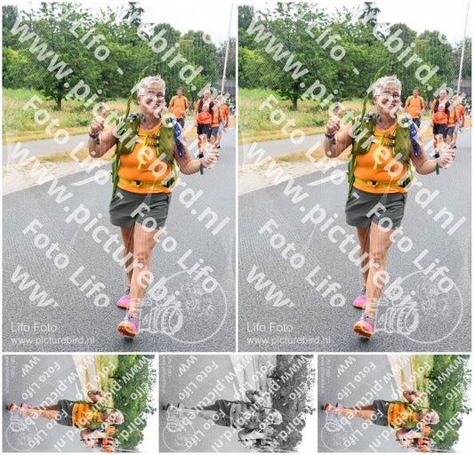 Evenement foto: Nijmeegse Vierdaagse 711