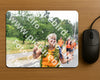 Evenement foto: Nijmeegse Vierdaagse 711