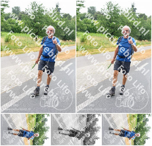 Evenement foto: Nijmeegse Vierdaagse 711