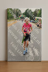 Evenement foto: Nijmeegse Vierdaagse 710