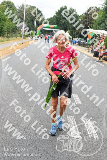 Evenement foto: Nijmeegse Vierdaagse 710
