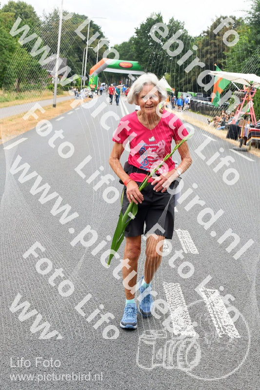 Evenement foto: Nijmeegse Vierdaagse 710