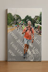 Evenement foto: Nijmeegse Vierdaagse 710
