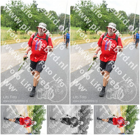 Evenement foto: Nijmeegse Vierdaagse 710