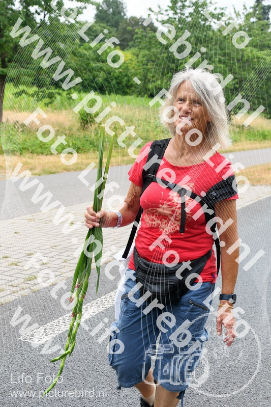 Evenement foto: Nijmeegse Vierdaagse 710