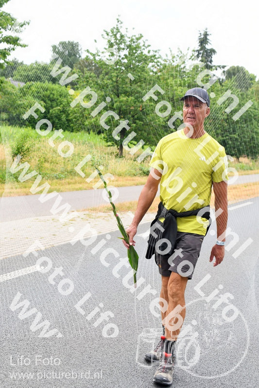 Evenement foto: Nijmeegse Vierdaagse 710