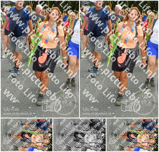 Evenement foto: Nijmeegse Vierdaagse 307