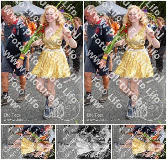 Evenement foto: Nijmeegse Vierdaagse 307