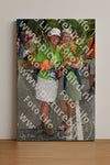 Evenement foto: Nijmeegse Vierdaagse 307