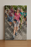Evenement foto: Nijmeegse Vierdaagse 307