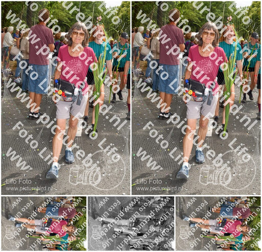Evenement foto: Nijmeegse Vierdaagse 307