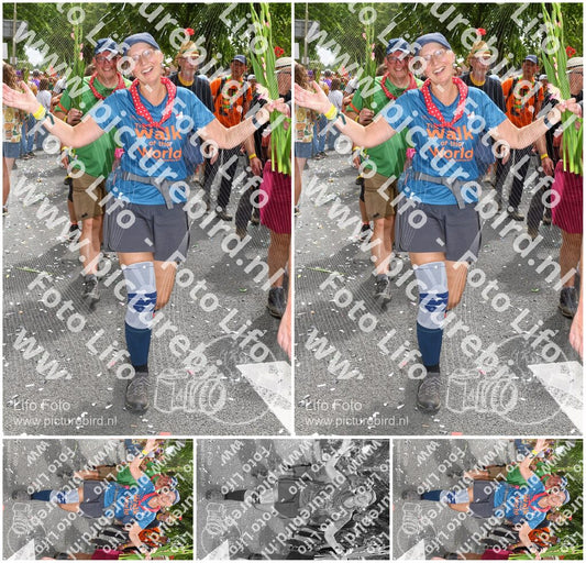 Evenement foto: Nijmeegse Vierdaagse 307
