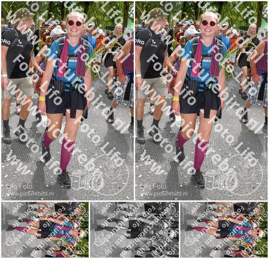 Evenement foto: Nijmeegse Vierdaagse 307