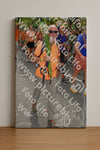 Evenement foto: Nijmeegse Vierdaagse 307
