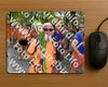 Evenement foto: Nijmeegse Vierdaagse 307