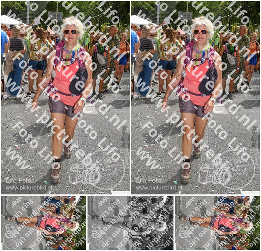 Evenement foto: Nijmeegse Vierdaagse 307