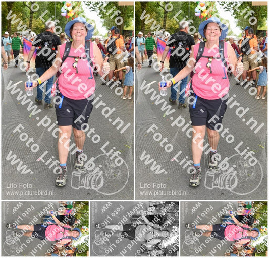 Evenement foto: Nijmeegse Vierdaagse 307