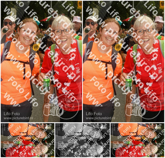 Evenement foto: Nijmeegse Vierdaagse 307