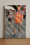 Evenement foto: Nijmeegse Vierdaagse 307