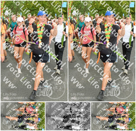 Evenement foto: Nijmeegse Vierdaagse 306