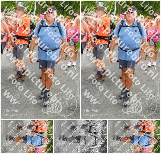 Evenement foto: Nijmeegse Vierdaagse 306