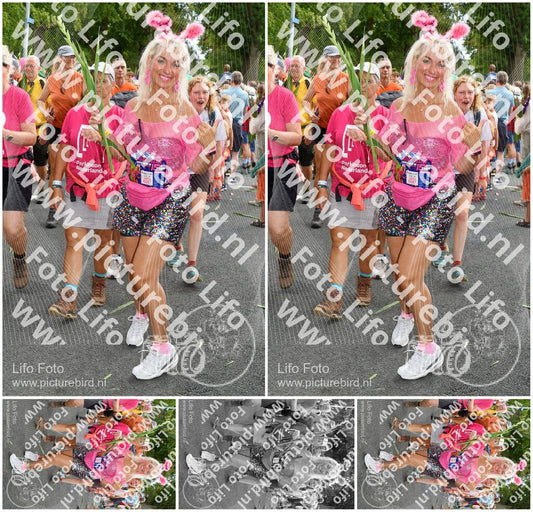 Evenement foto: Nijmeegse Vierdaagse 306