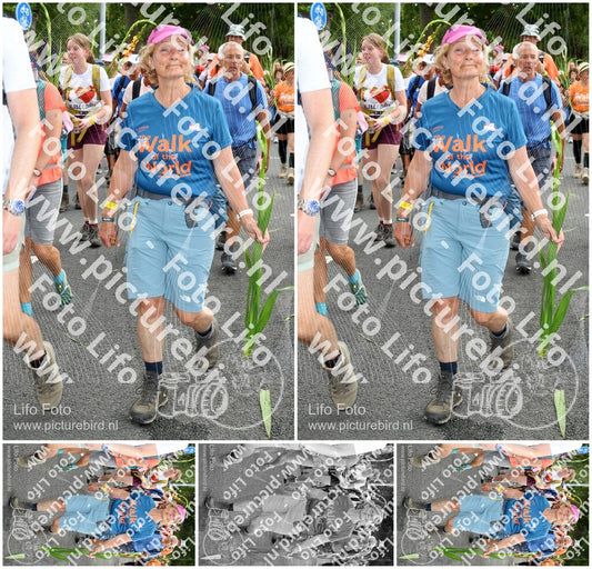 Evenement foto: Nijmeegse Vierdaagse 306