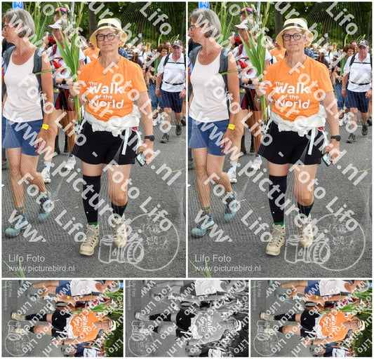 Evenement foto: Nijmeegse Vierdaagse 306