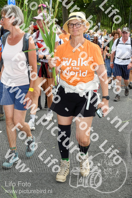 Evenement foto: Nijmeegse Vierdaagse 306