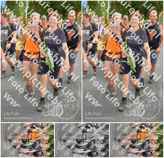 Evenement foto: Nijmeegse Vierdaagse 306