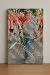 Evenement foto: Nijmeegse Vierdaagse 306
