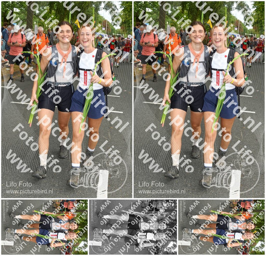 Evenement foto: Nijmeegse Vierdaagse 306