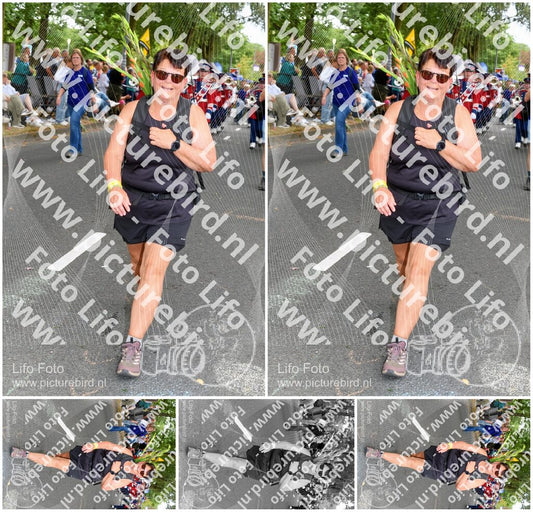 Evenement foto: Nijmeegse Vierdaagse 306