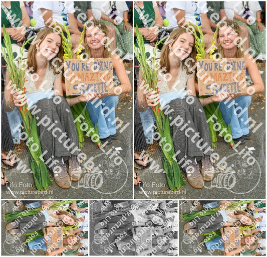 Evenement foto: Nijmeegse Vierdaagse 306