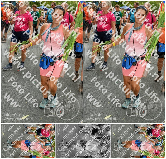Evenement foto: Nijmeegse Vierdaagse 306